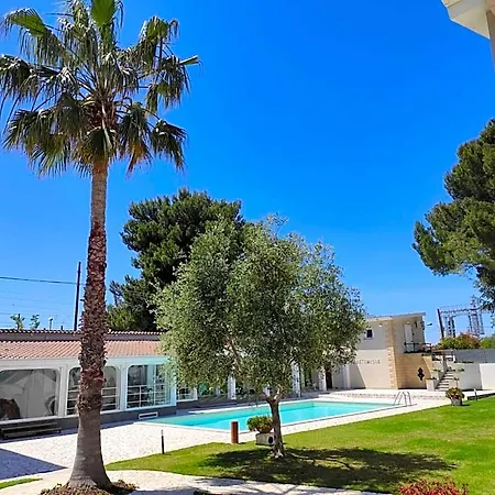 Artemisia 바리
